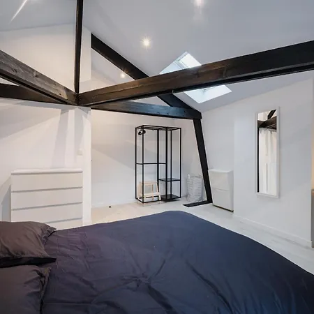 Vaste Maison Bourgeoise טורנאי